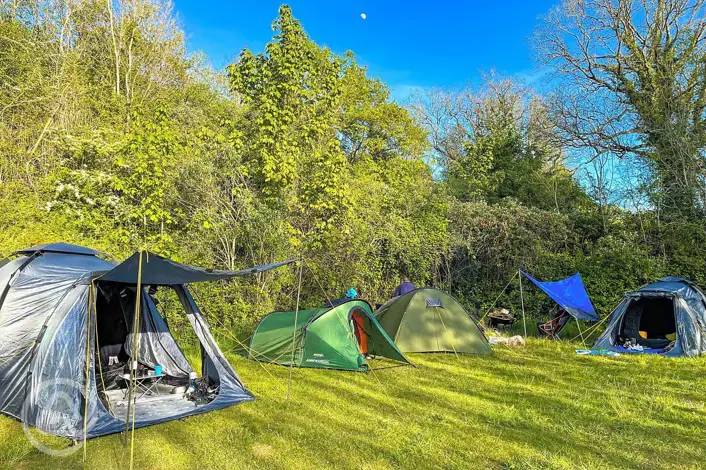 120+ campsites in Somerset