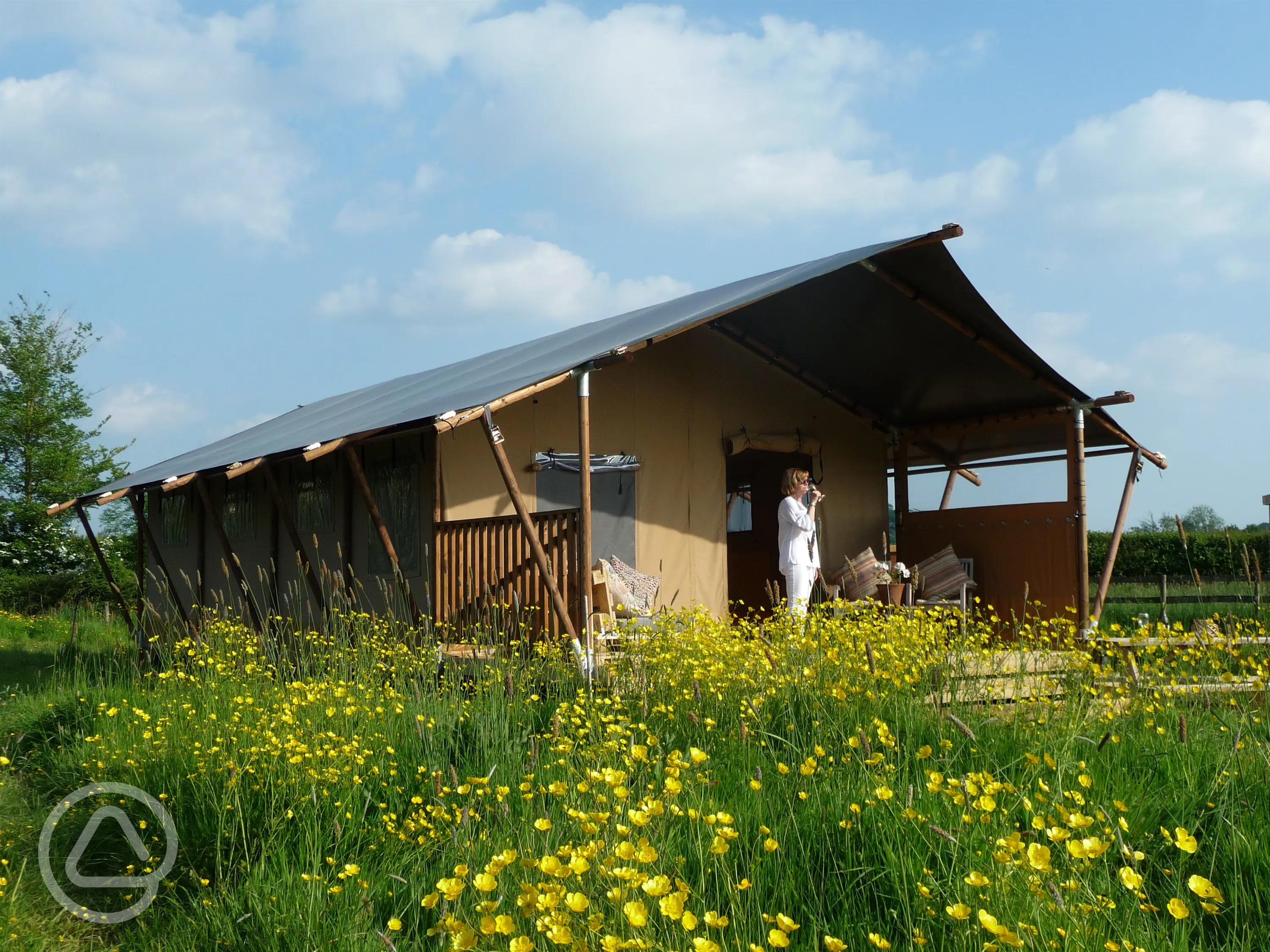 Tall Trees Glamping in Glastonbury, Somerset