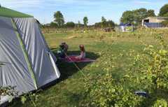 Green Haven Camping in Halesworth, Suffolk