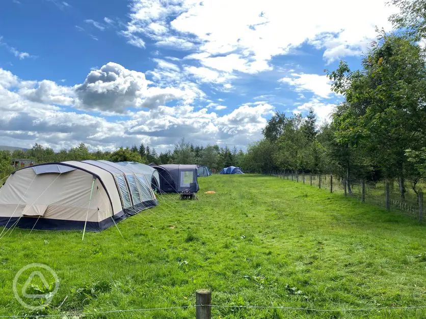 Bowland Wild Boar Park in Preston, Lancashire