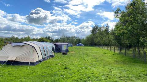 Bowland Wild Boar Park In Preston Lancashire