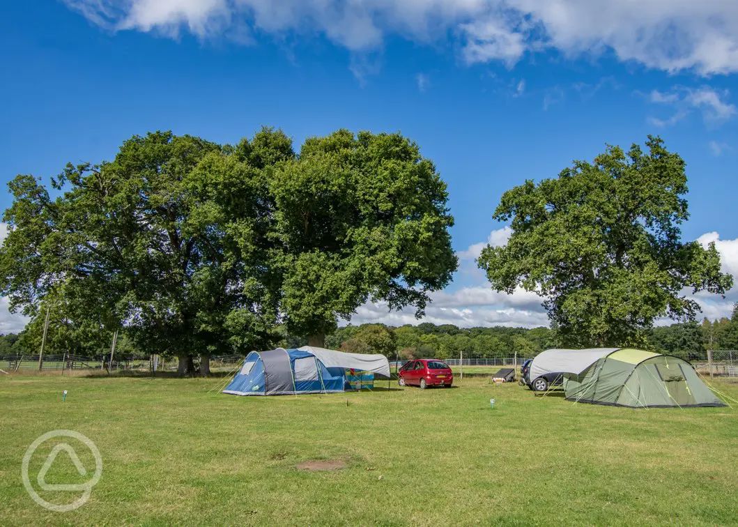 50 Campsites In The New Forest The Parks Best Camping Sites