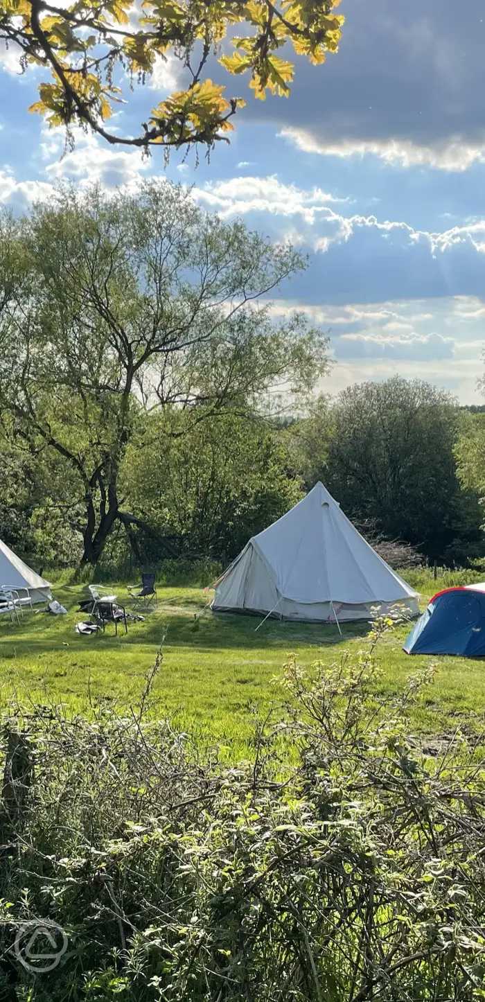Heron's Rural Retreat in Leighton Buzzard, Bedfordshire