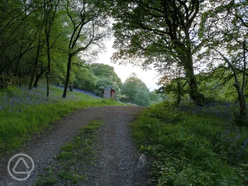 Wild Oak Woods Eco Campsite In Dalbeattie Dumfries And Galloway