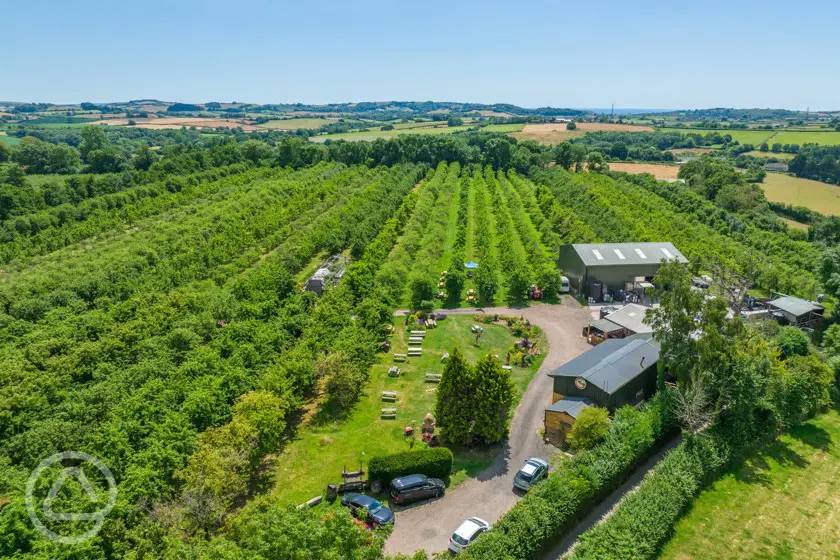 Dorset Nectar Cider Farm Orchard Campsite reviews