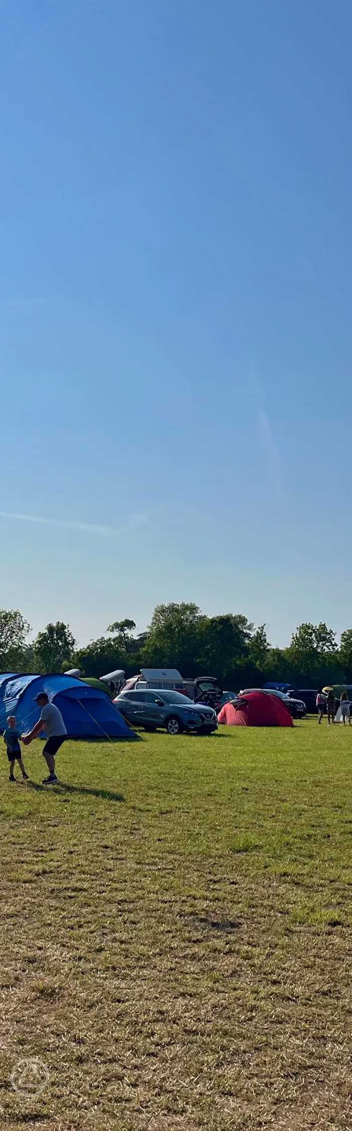 Bramley Park Camping reviews