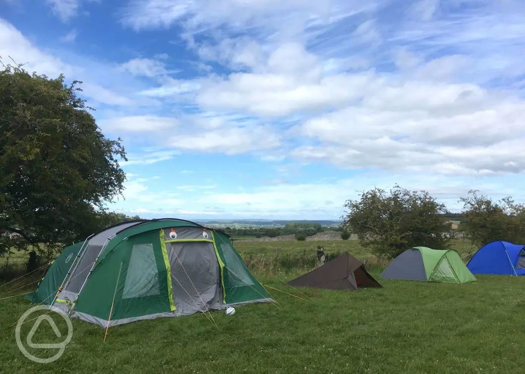 Campsites near Cheddar Gorge in Somerset