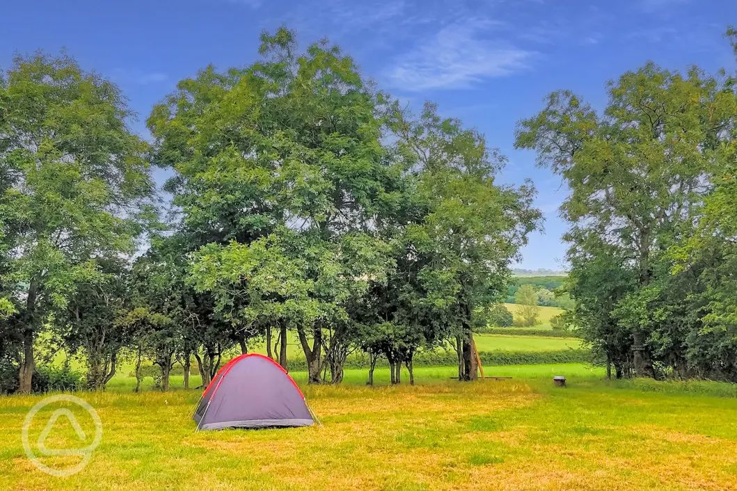 90 Campsites In The Cotswolds Best Camping In The Cotswolds 90 Campsites In The Cotswolds Best Camping In The Cotswolds