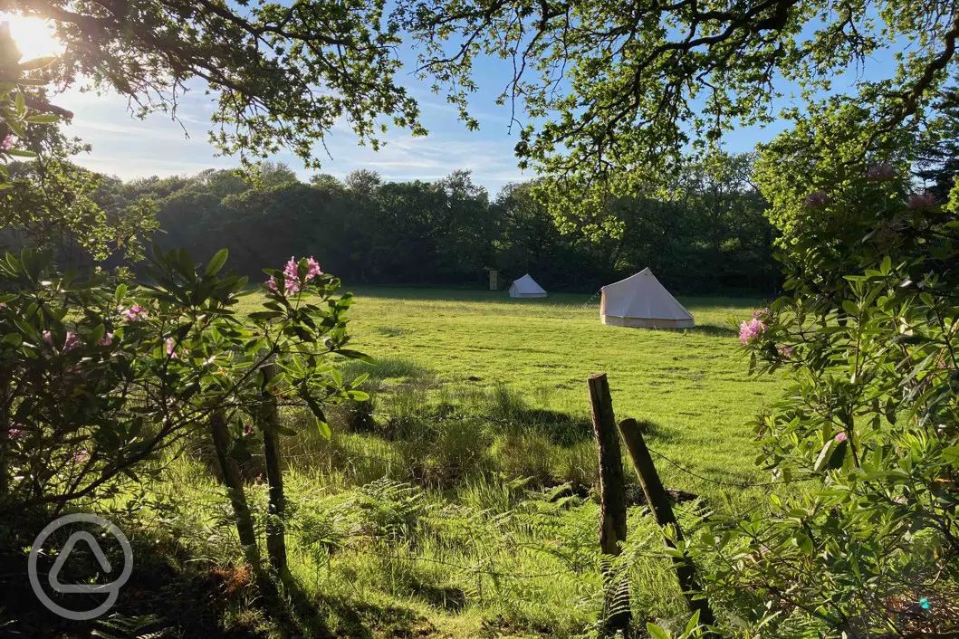 60+ Poole campsites Best sites for camping in Poole, Dorset