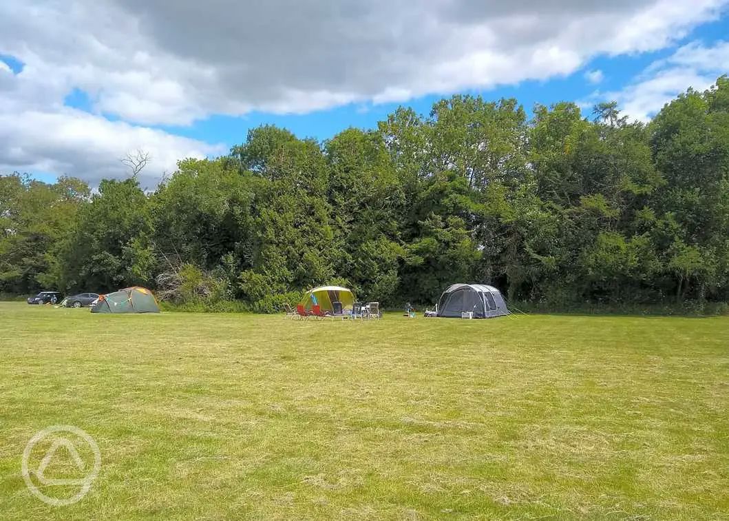 Campsites in West Sussex 35+ top West Sussex camping sites