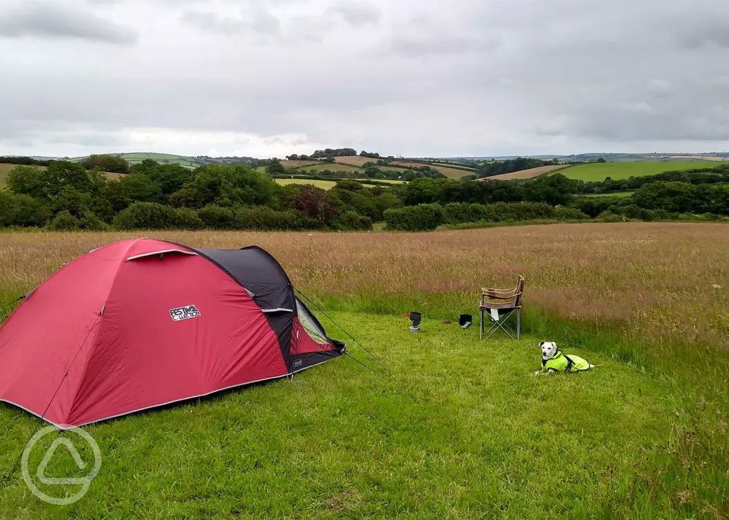 Campsites on the River Dart | Best camping on the River Dart