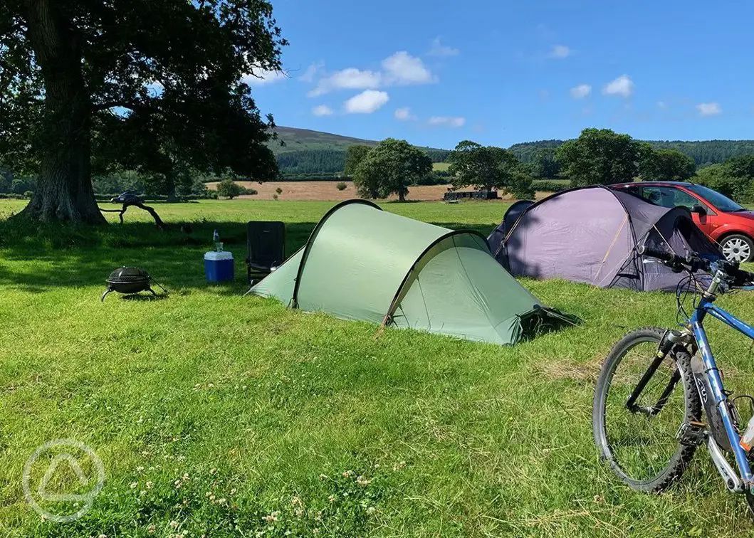 Porlock campsites | Best sites for camping in Porlock, Somerset