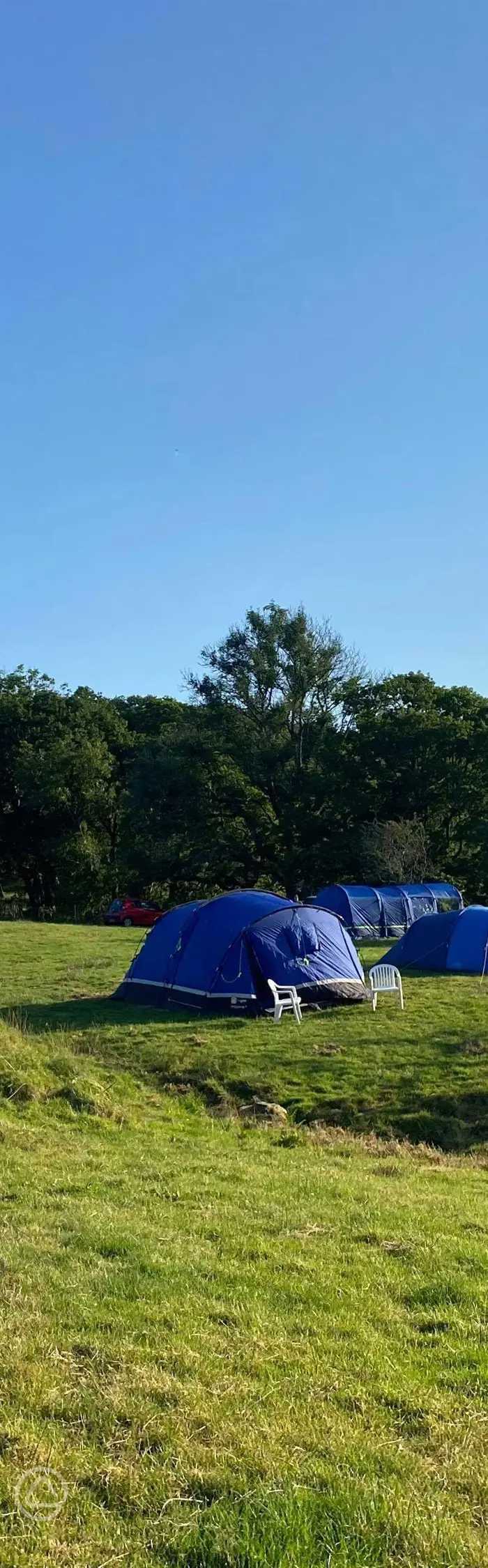 Torver Pop Up Campsite in Torver, Cumbria book online now