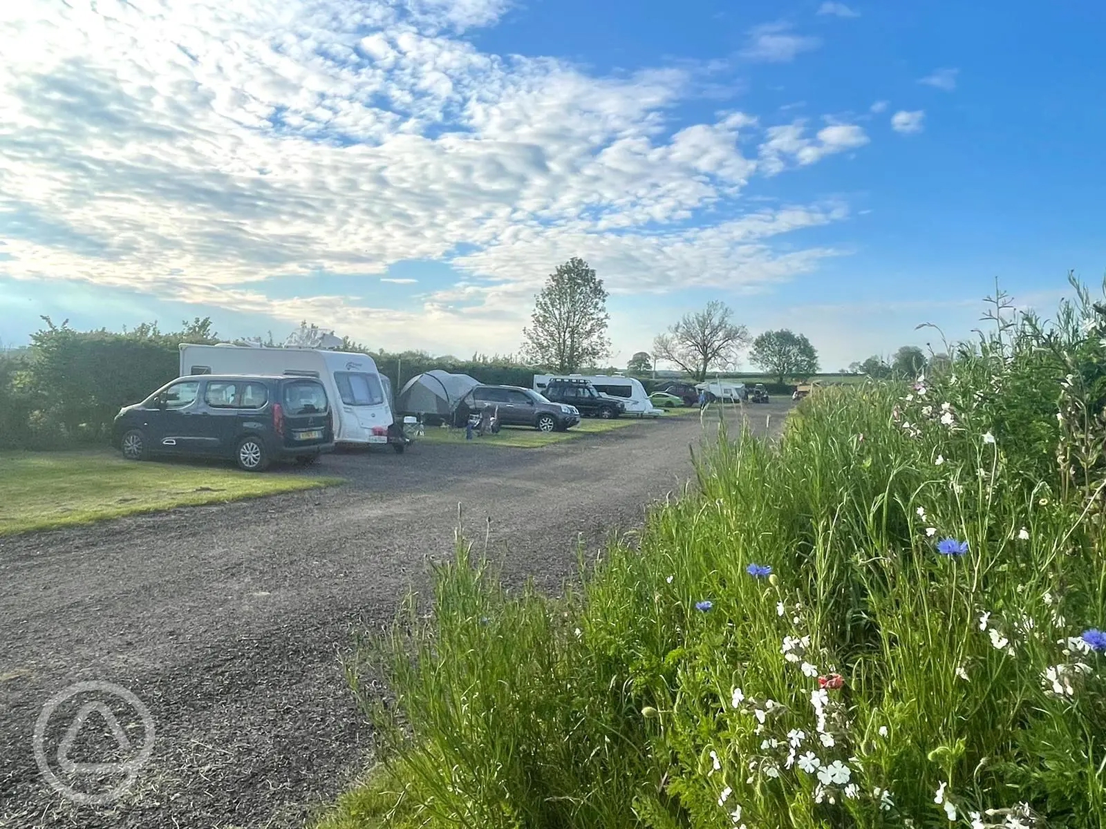 Yellowtail Camping in Hilperton, Wiltshire