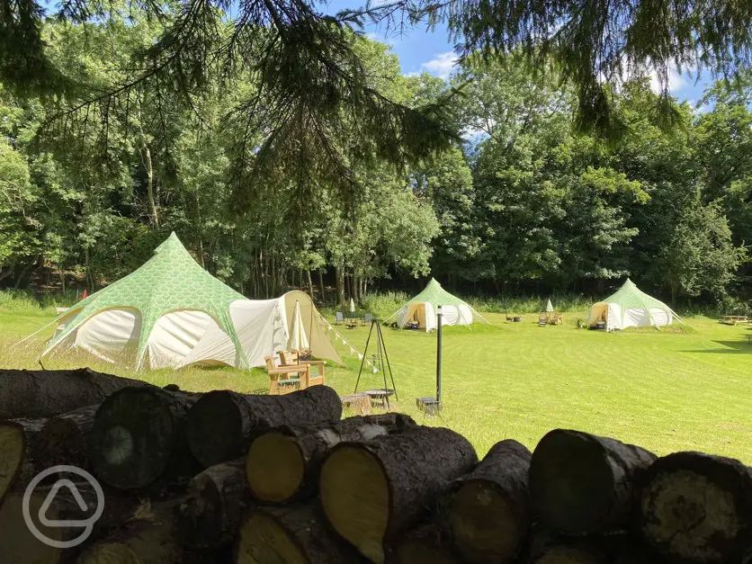 Owley Woods Glamping reviews