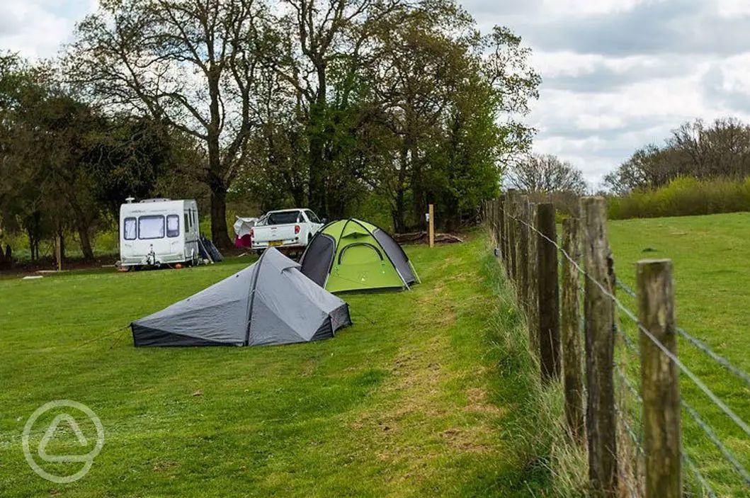 80+ campsites in Kent the best places to go camping in Kent
