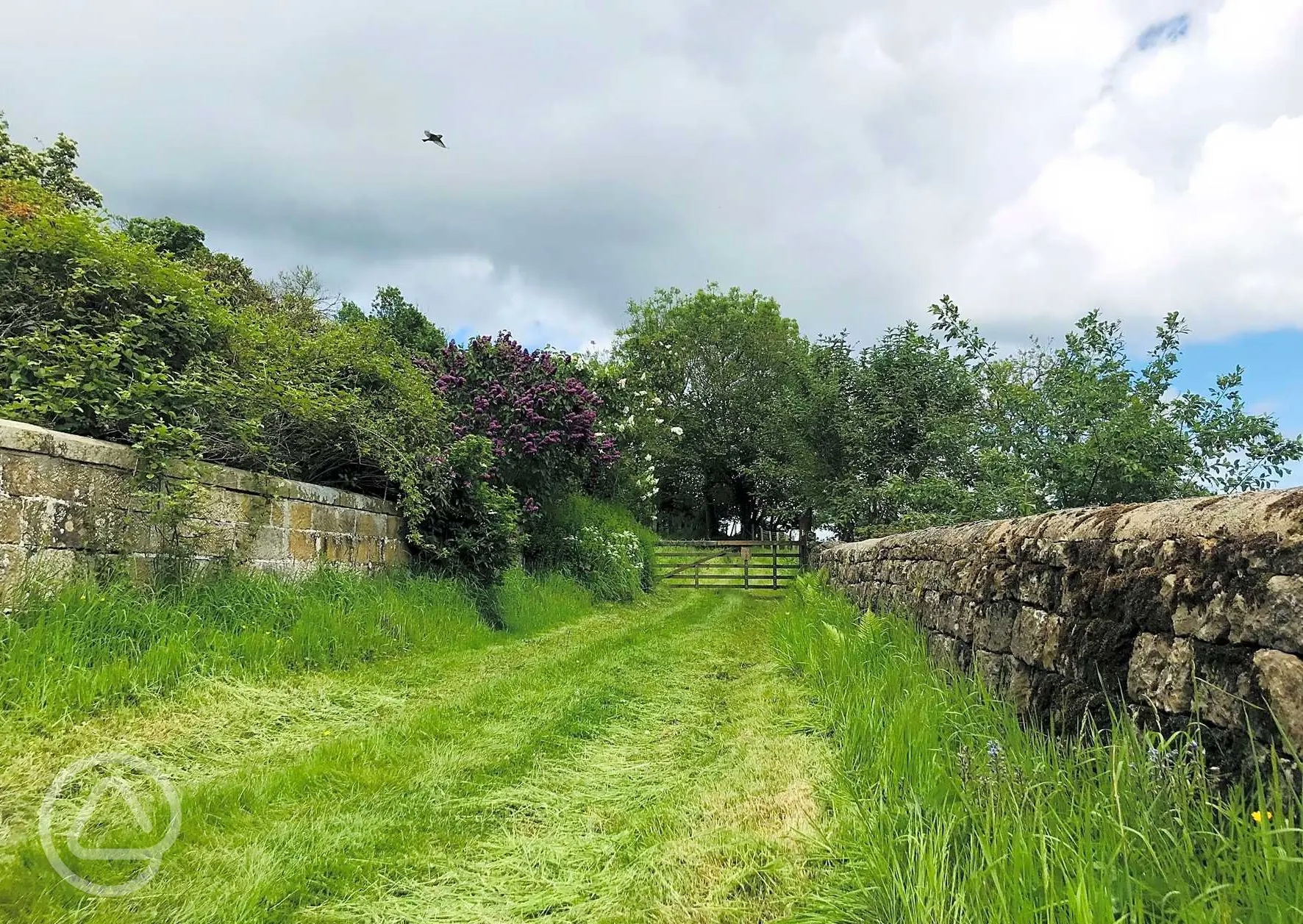 Prospect House Farm Campsite in Scarborough, North Yorkshire book