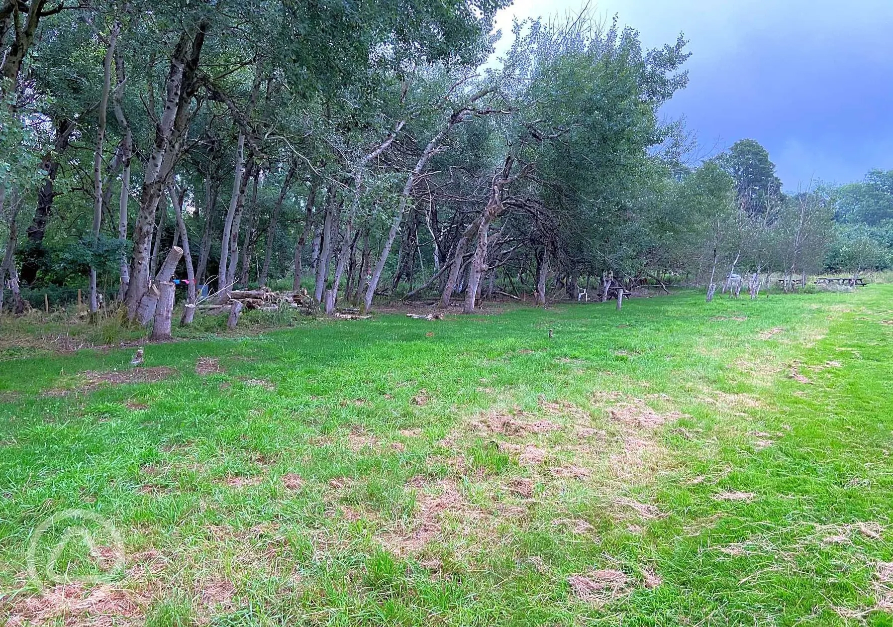 Daisy Mays Farm in Elsenham, Essex