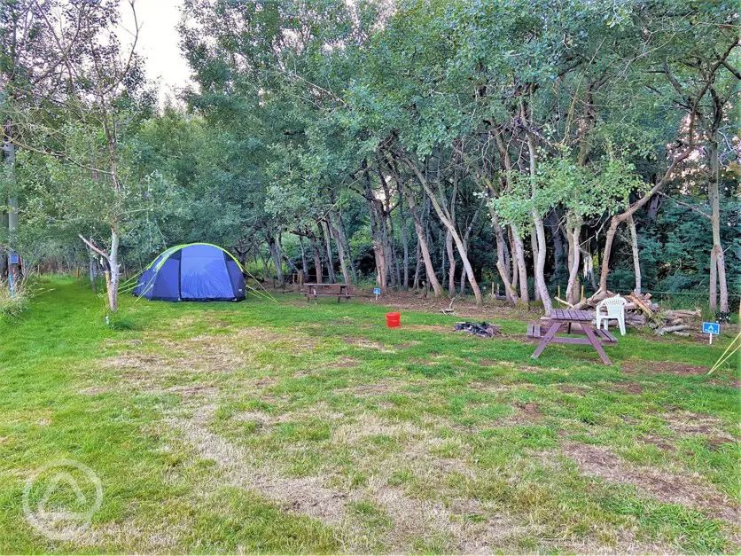 Daisy Mays Farm in Elsenham, Essex book online now