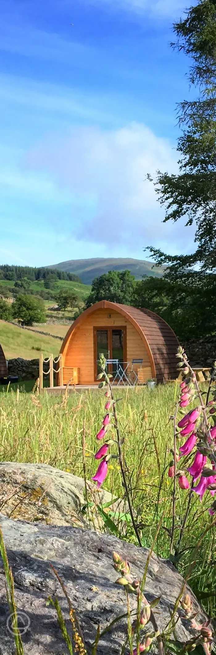 Kentmere Farm Pods in Kendal, Cumbria book online now