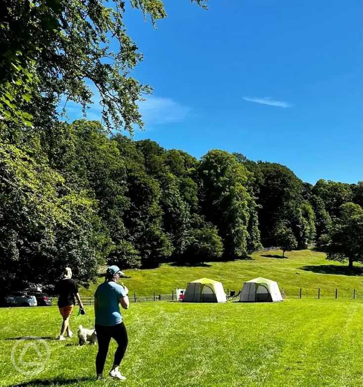 Bolam Lake Camping Paddock in Newcastle Upon Tyne, Northumberland