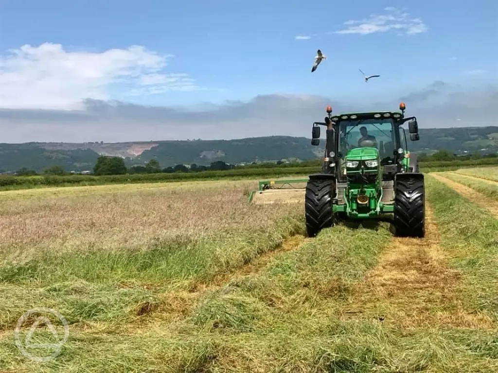 Lane End Camping in Axbridge, Somerset book online now