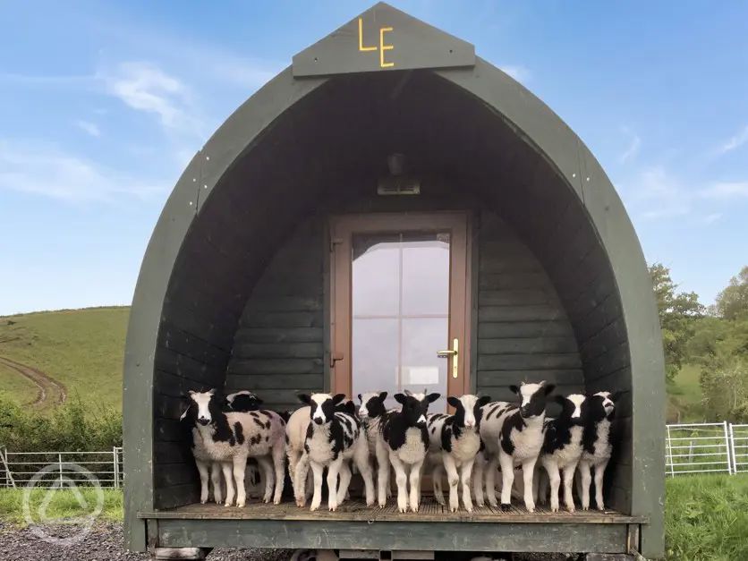 Lane End Camping in Axbridge, Somerset