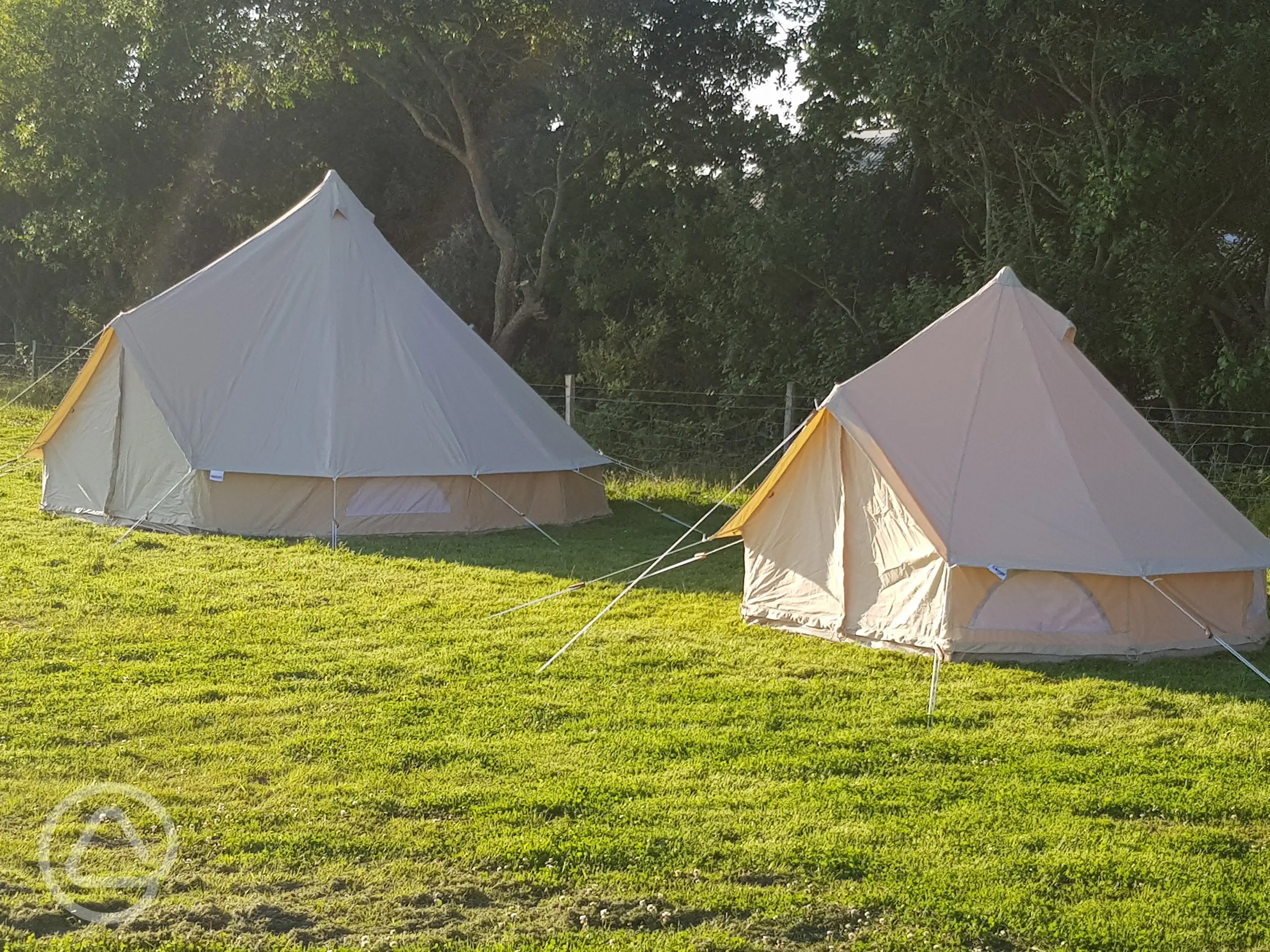 Hastings 1066 in Battle, East Sussex book online now