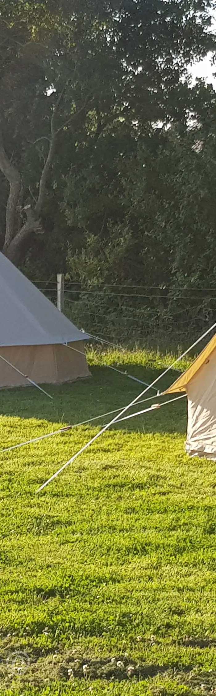 Hastings 1066 in Battle, East Sussex book online now