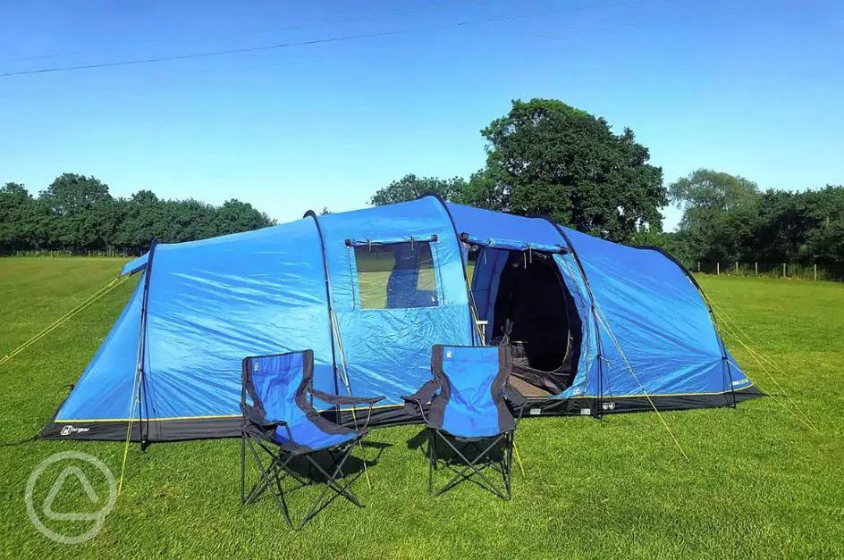 House Martins Camping in York, East Yorkshire