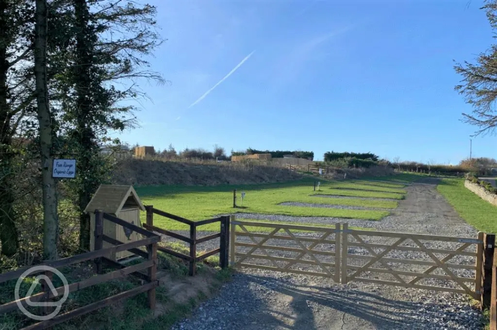 Easington Farm Wild Camping and Caravan Site in Belford, Northumberland