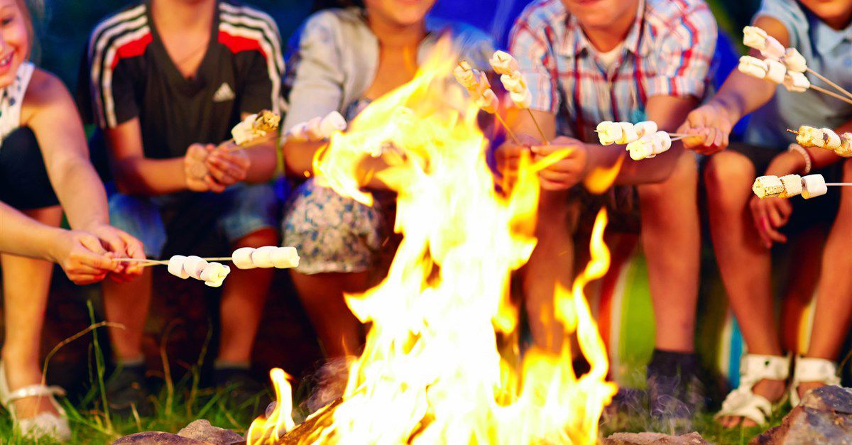Campfire Campsites In The Forest Of Dean Wye Valley