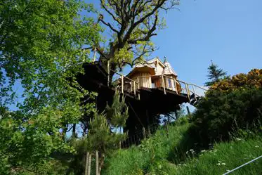 Treehouses in Snowdonia