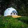 Glamping domes Glamping domes