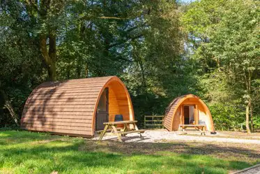 Camping and glamping pods  in Beer