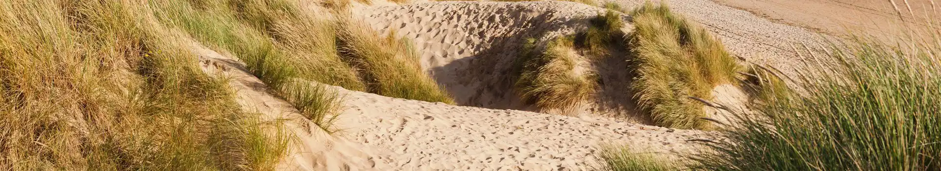 Camber Sands