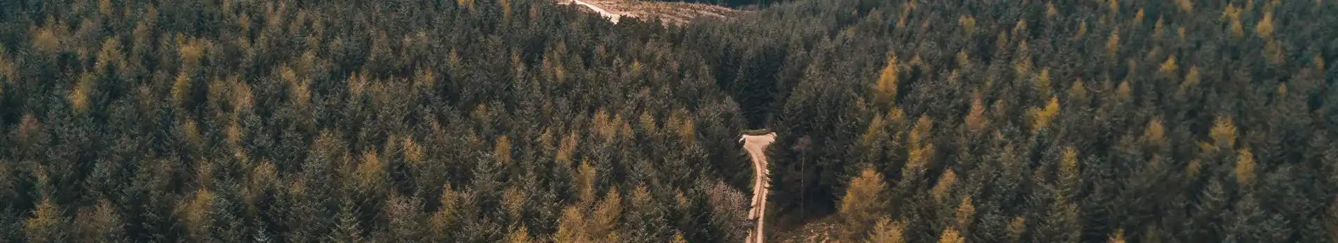 Dalby Forest campsites