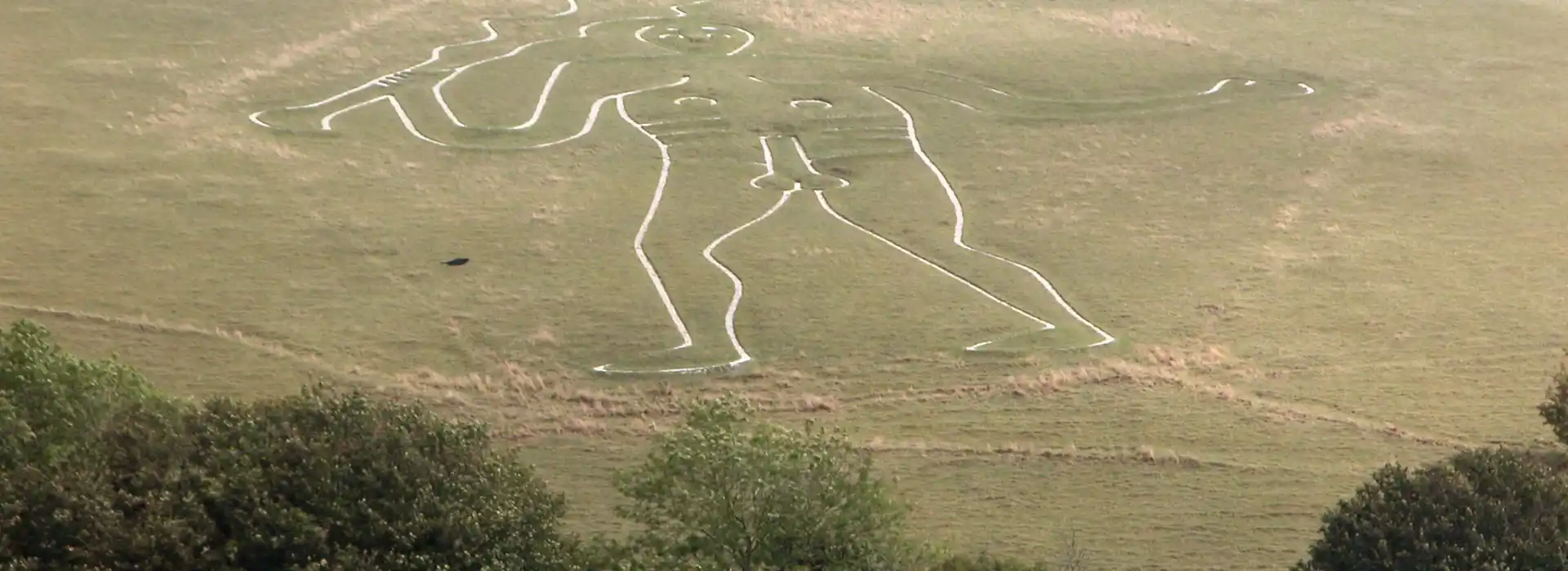 Campsites near the Cerne Abbas giant