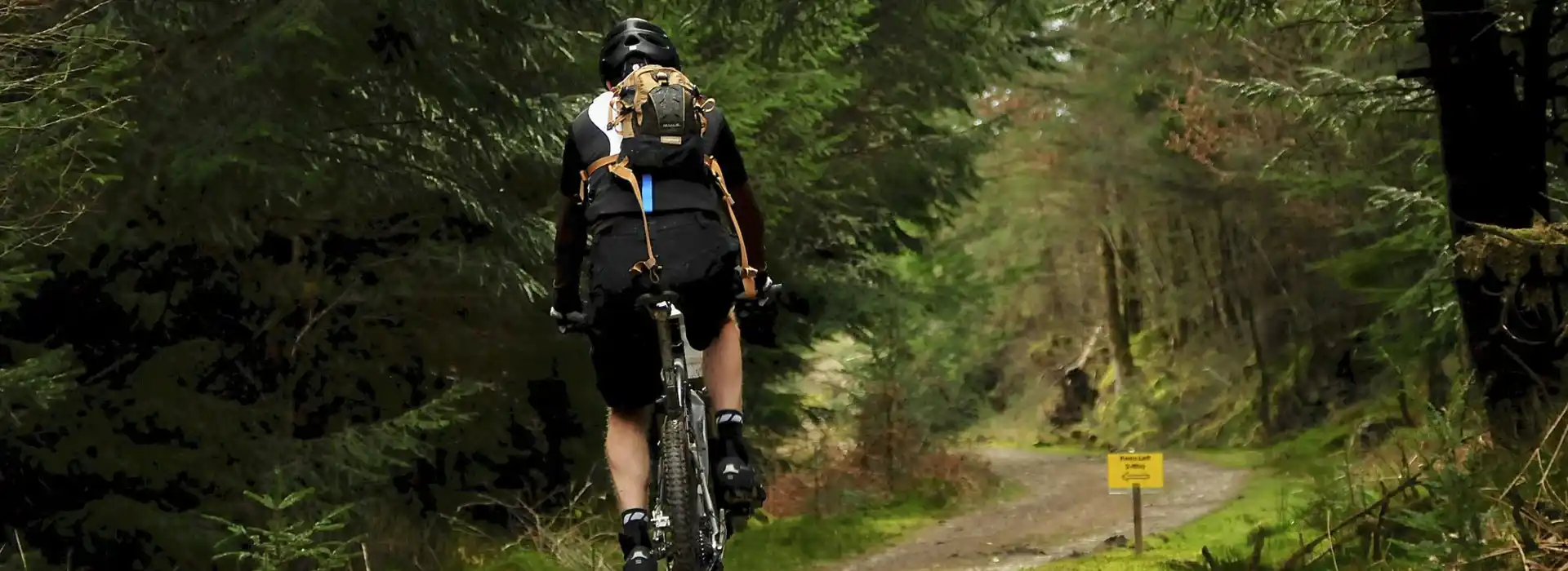 Campsites near Coed y Brenin Forest Park