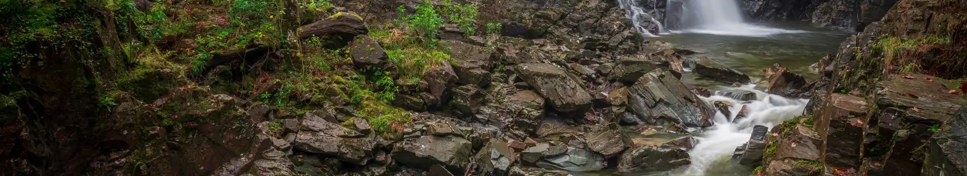 Coed y Brenin Forest Park