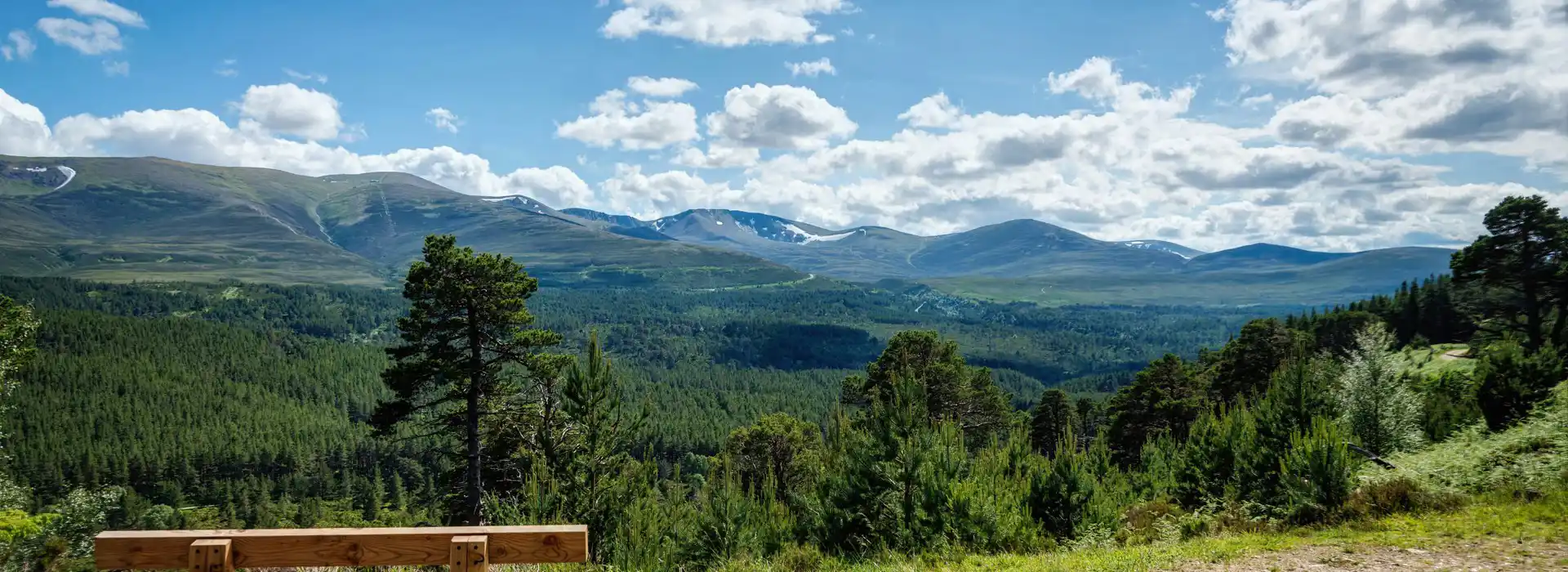 Campsites near Glenmore