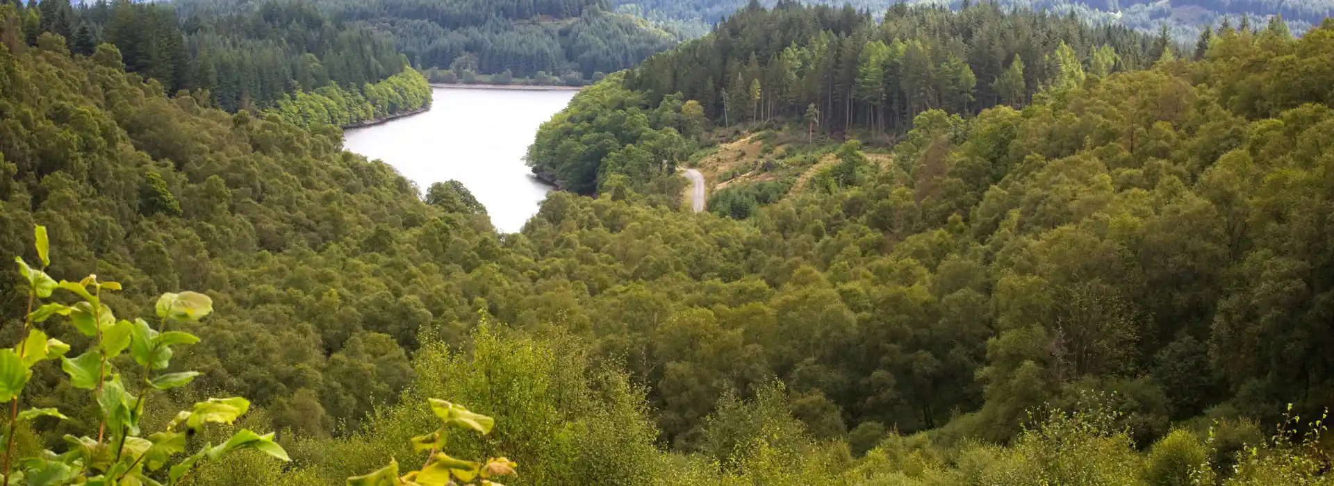 Campsites near Loch Drunkie