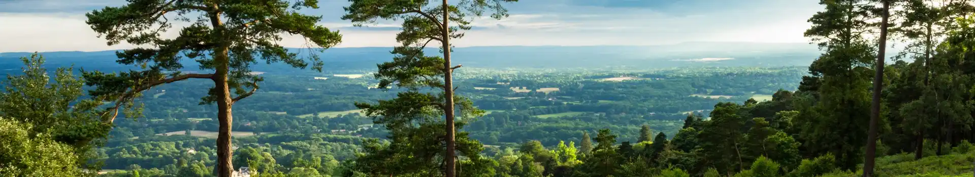 Leith Hill campsites
