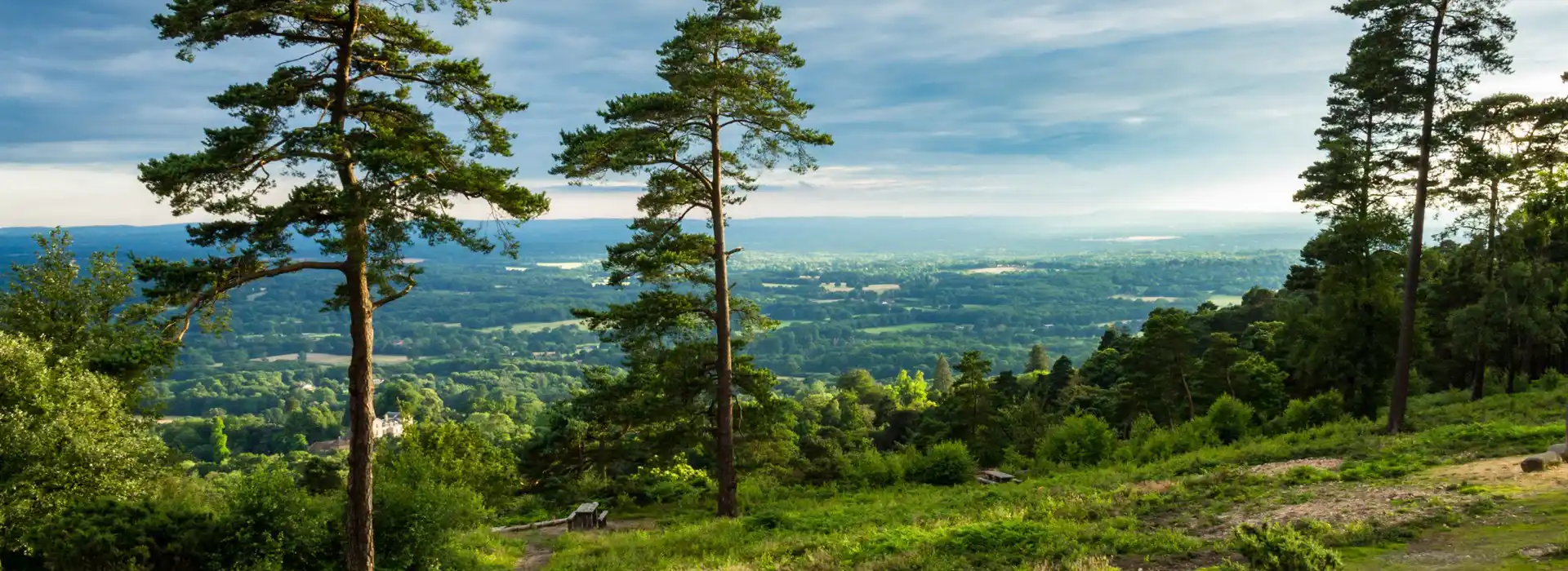 Leith Hill campsites