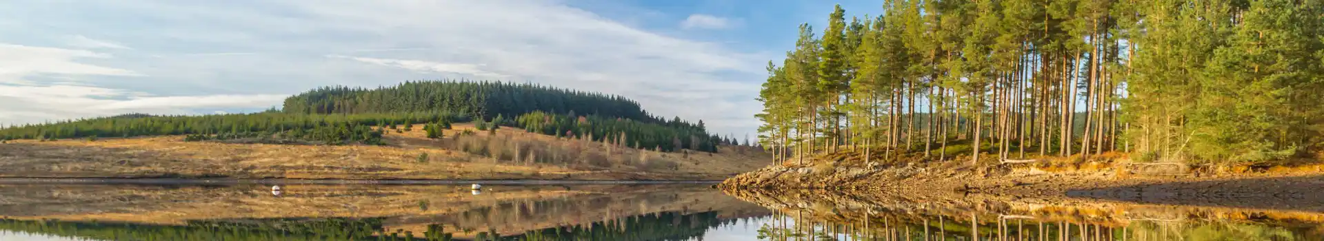 Kielder Water and Forest Park