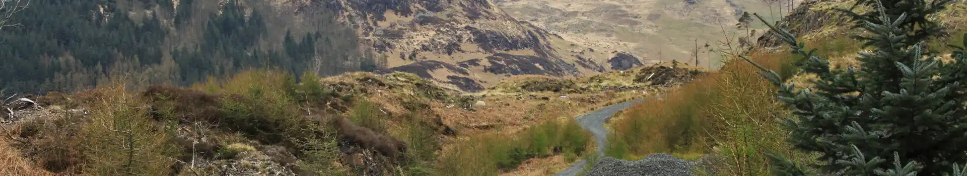 Campsites near Galloway Forest Park