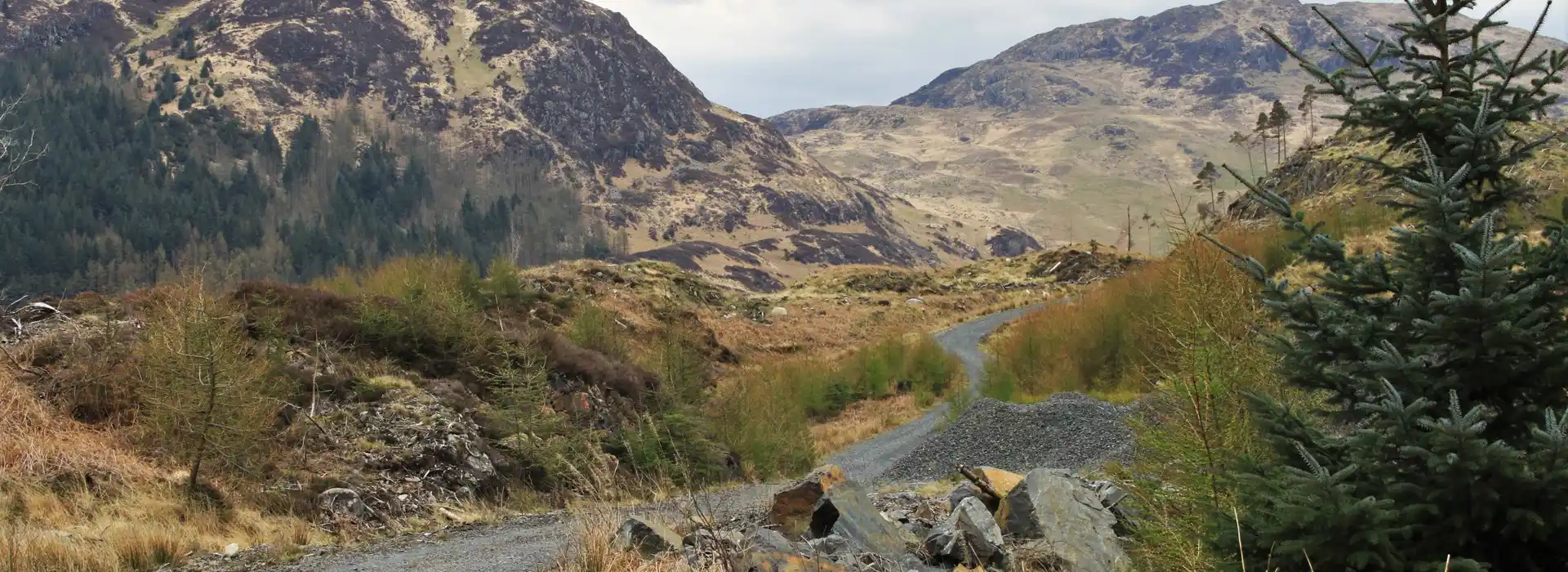 Campsites near Galloway Forest Park