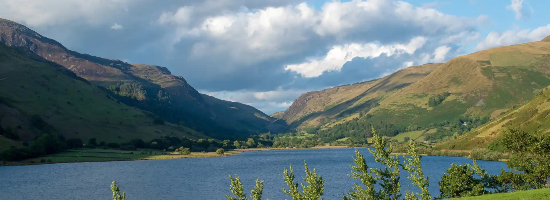 Campsites near Cadair Idris