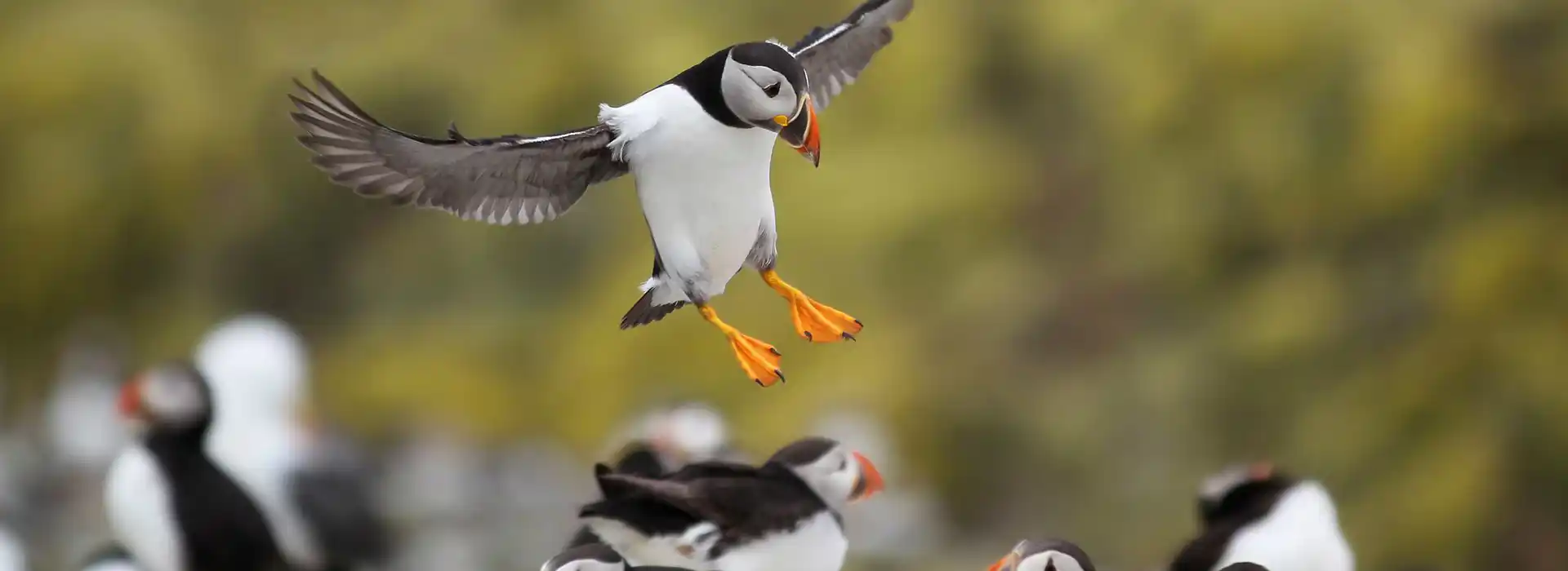 Campsites near Bempton Cliffs