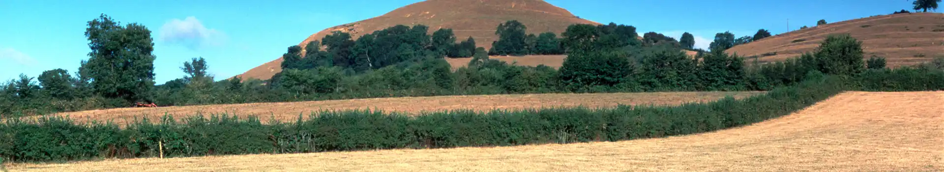 Campsites near Glastonbury Tor